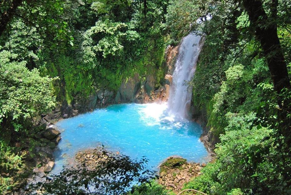 Xxx Blue Paradise - Rio Celeste Dreams Bijagua Εξωτερικό φωτογραφία